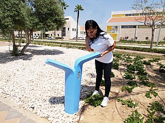 ברזיה דגם "פניקס"